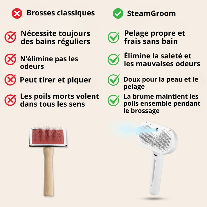 SteamGroom | Un brossage sans douleur