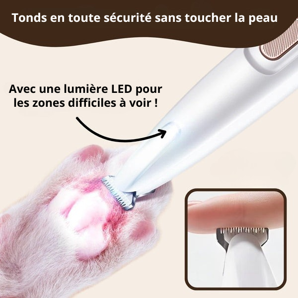 Tondeuse de précision pour animaux