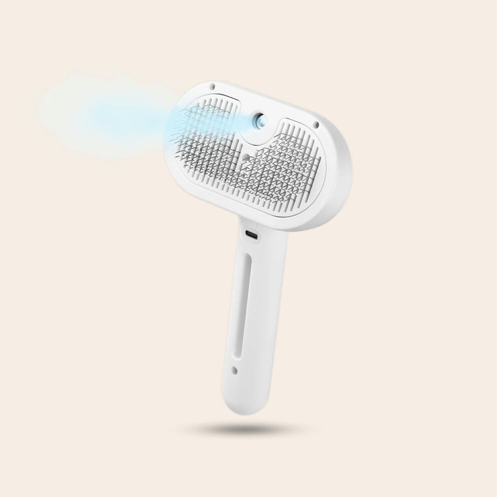 SteamGroom | Un brossage sans douleur