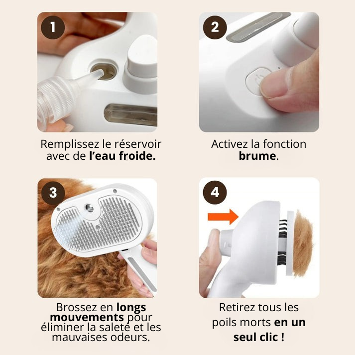 SteamGroom | Un brossage sans douleur