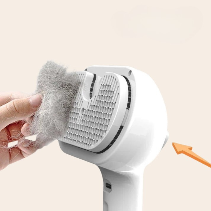 SteamGroom | Un brossage sans douleur