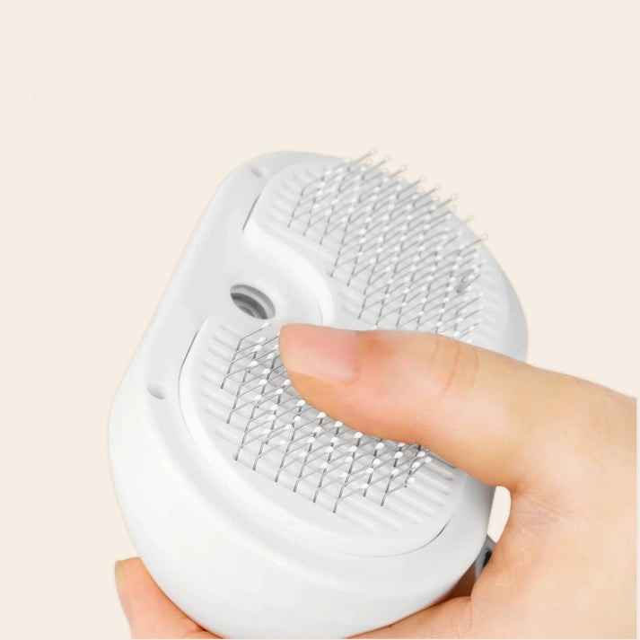 SteamGroom | Un brossage sans douleur