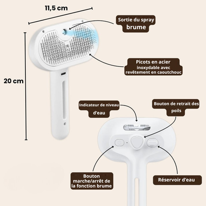 SteamGroom | Un brossage sans douleur