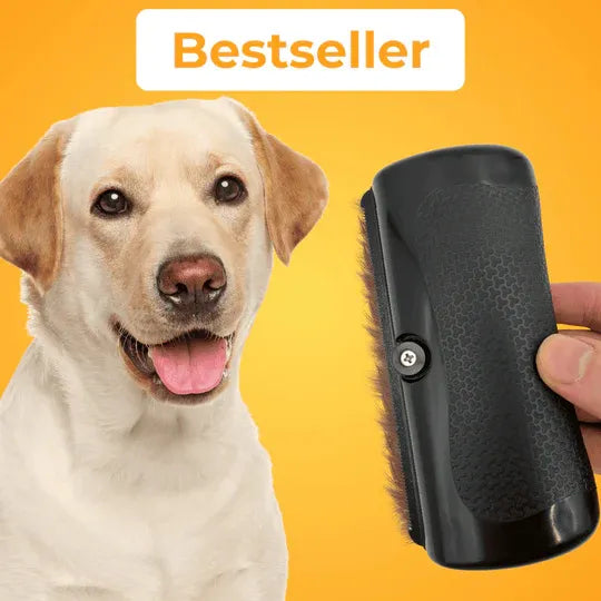 PetGlow™ - Élimine le sous-poil en une seule fois