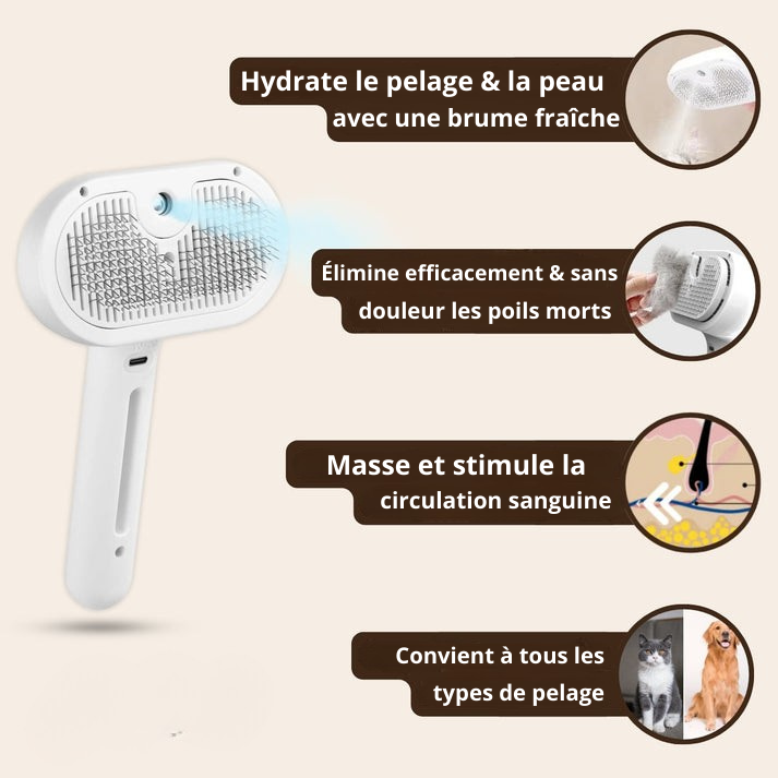SteamGroom | Un brossage sans douleur