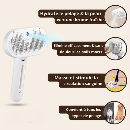 SteamGroom | Un brossage sans douleur