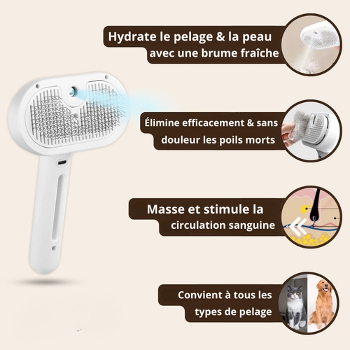 SteamGroom | Un brossage sans douleur
