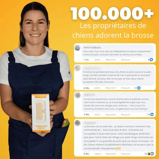 PetGlow™ - Élimine le sous-poil en une seule fois