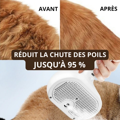 SteamGroom | Un brossage sans douleur