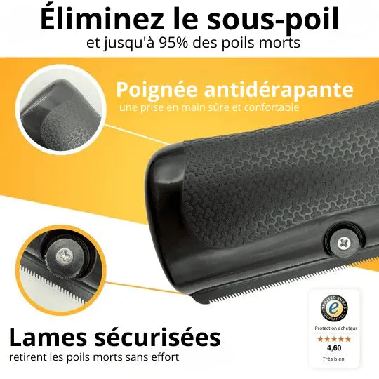 PetGlow™ - Élimine le sous-poil en une seule fois
