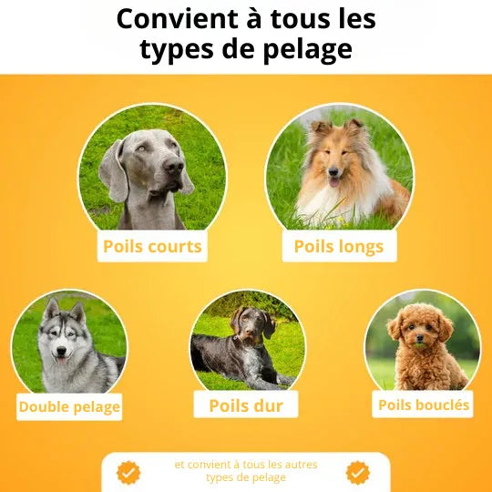 PetGlow™ - Élimine le sous-poil en une seule fois
