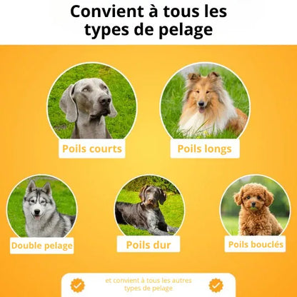 PetGlow™ - Élimine le sous-poil en une seule fois