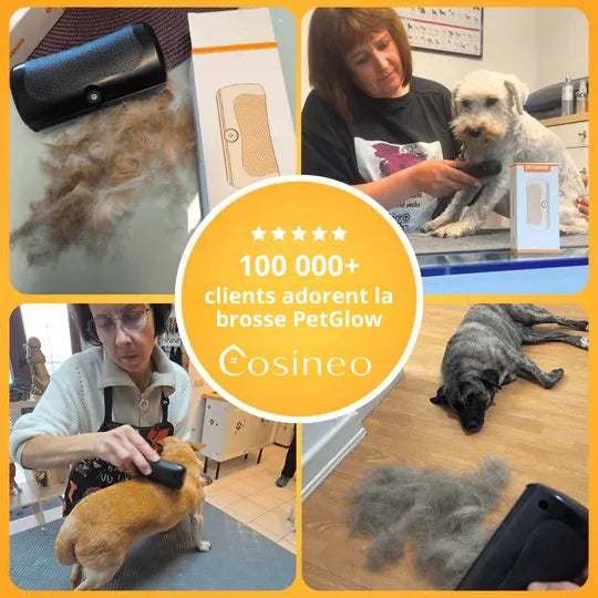 PetGlow™ - Élimine le sous-poil en une seule fois