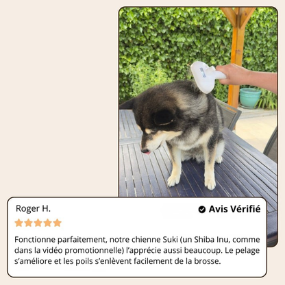 SteamGroom | Un brossage sans douleur
