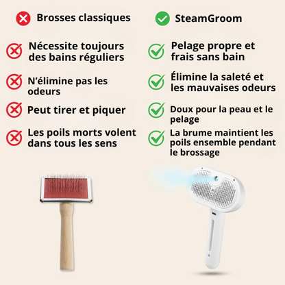 SteamGroom | Un brossage sans douleur