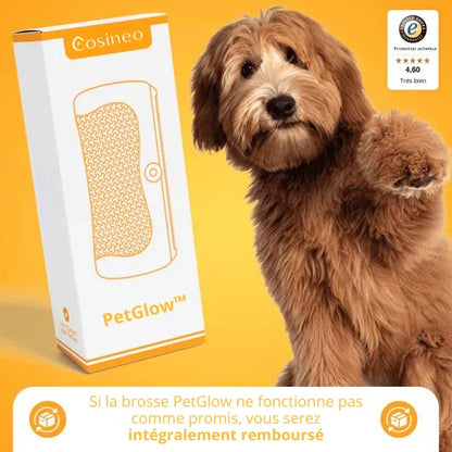 PetGlow™ - Élimine le sous-poil en une seule fois