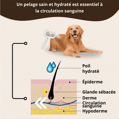 SteamGroom | Un brossage sans douleur